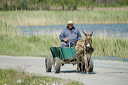 charrettedsc_5007_dxo_raw