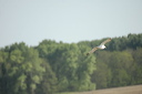 goelandpontique-dsc_5048_dx