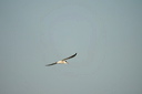 guifettemoustac-dsc_5087_dx