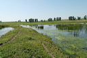 jour2dsc_4924_dxo_raw