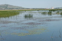 jour2dsc_4928_dxo_raw
