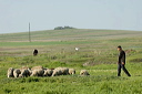 jour2dsc_5055_dxo_raw