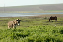 jour2dsc_5057_dxo_raw