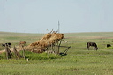 jour2dsc_5058_dxo_raw