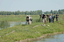 ornithosdsc_4921_dxo_raw