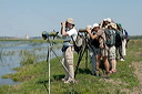 ornithosdsc_4938_dxo_raw