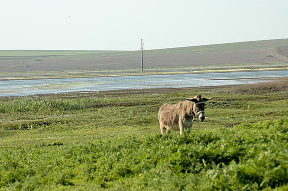 jour2dsc_5056_dxo_raw.jpg