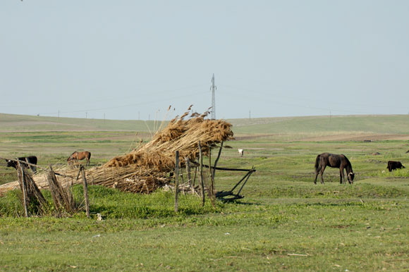 jour2dsc_5058_dxo_raw.jpg