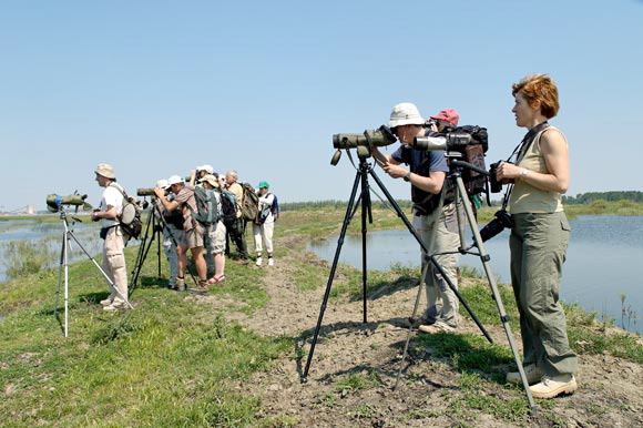 ornithosdsc_4939_dxo_raw.jpg