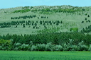 jour3dsc_5145_dxo_raw