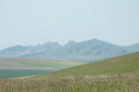 jour3dsc_5156_dxo_raw