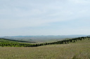 jour3dsc_5169_dxo_raw