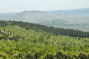 jour3dsc_5175_dxo_raw