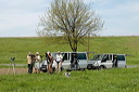 ornithosdsc_5115_dxo_raw