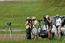 ornithosdsc_5116_dxo_raw