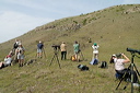 ornithosdsc_5166_dxo_raw