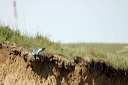 rollierdsc_5107_dxo_raw