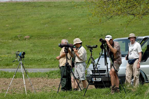 ornithosdsc_5116_dxo_raw.jpg