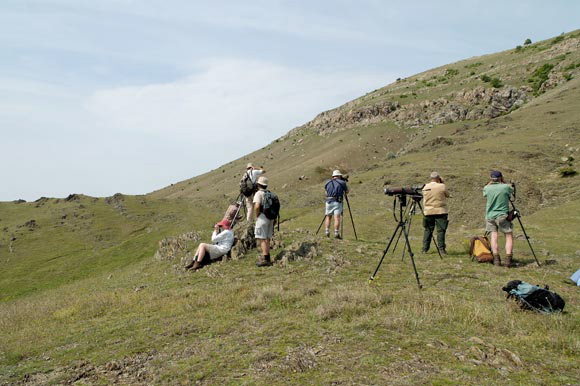 ornithosdsc_5167_dxo_raw.jpg