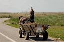 charrettedsc_5239_dxo_raw
