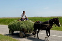 charrettedsc_5258_dxo_raw
