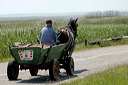 charrettedsc_5262_dxo_raw