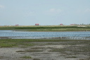 jour4dsc_5267_dxo_raw