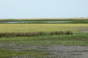 jour4dsc_5268_dxo_raw