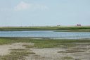 jour4dsc_5269_dxo_raw