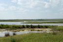 jour4dsc_5274_dxo_raw