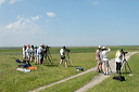 ornithosdsc_5275_dxo_raw