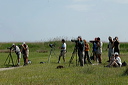 ornithosdsc_5277_dxo_raw