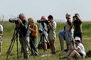 ornithosdsc_5278_dxo_raw