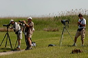 ornithosdsc_5279_dxo_raw