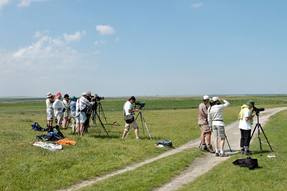 ornithosdsc_5275_dxo_raw.jpg