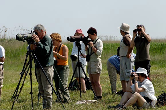 ornithosdsc_5278_dxo_raw.jpg
