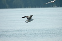 adeterminerdsc_5322_dxo_raw
