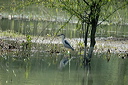 bihoreaudsc_5654_dxo_raw