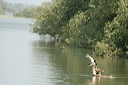canardsdsc_5612_dxo_raw
