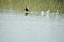 decolagedsc_5415_dxo_raw