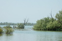 deltadanubedsc_5349_dxo_raw