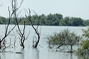 deltadanubedsc_5387_dxo_raw