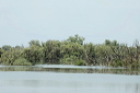 deltadanubedsc_5398_dxo_raw