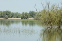 deltadanubedsc_5402_dxo_raw