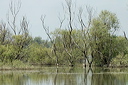 deltadanubedsc_5403_dxo_raw