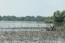 deltadanubedsc_5421_dxo_raw
