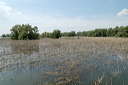 deltadanubedsc_5454_dxo_raw