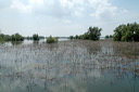 deltadanubedsc_5455_dxo_raw
