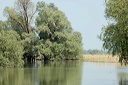 deltadsc_5635_dxo_raw