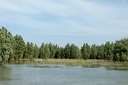 deltadsc_5698_dxo_raw